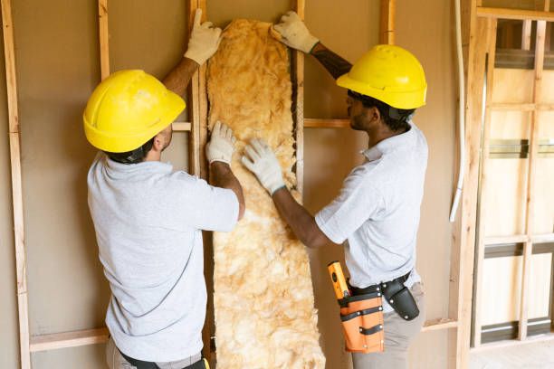 Best Wall Insulation Installation  in Manly, IA